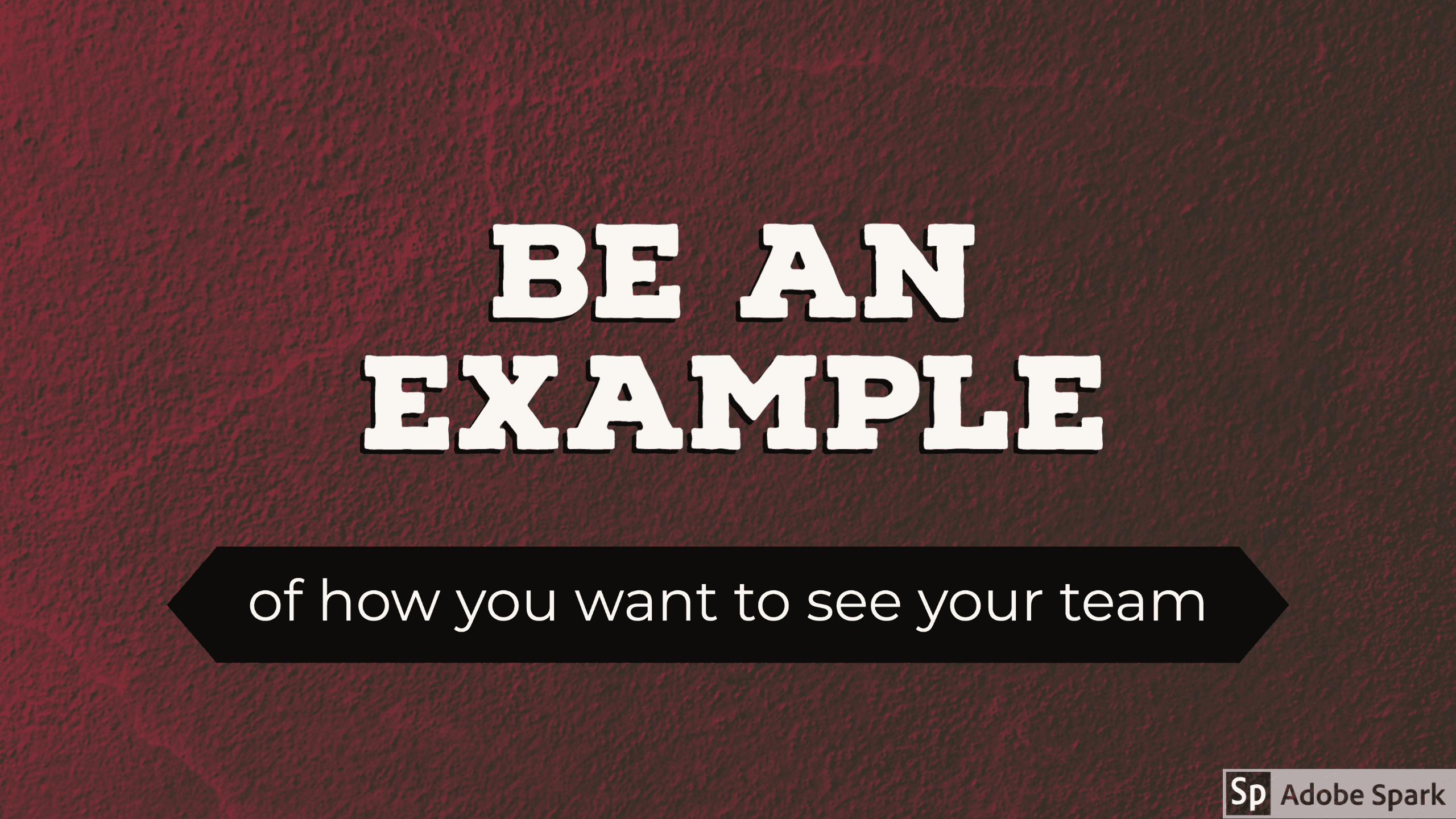 Building a successful team: Role of a Lead
